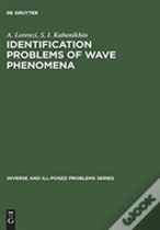 Identification Problems Of Wave Phenomena