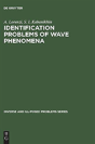 Identification Problems Of Wave Phenomena - Preview