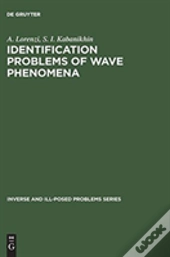 Identification Problems Of Wave Phenomena