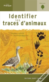 Identifier Les Traces D'Animaux