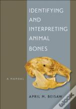 Identifying And Interpreting Animal Bones