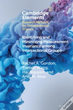 Capa do artigo Identifying And Minimizing Measurement Invariance Among Intersectional Groups