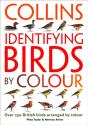 Identifying Birds By Colour - Preview