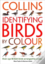 Capa do artigo Identifying Birds By Colour