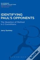 Identifying Paul'S Opponents