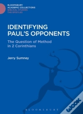 Identifying Paul'S Opponents
