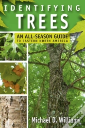 Capa do artigo Identifying Trees