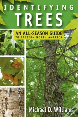 Capa do artigo Identifying Trees