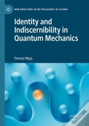 Capa do artigo Identity And Indiscernibility In Quantum Mechanics