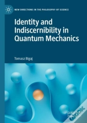 Identity And Indiscernibility In Quantum Mechanics