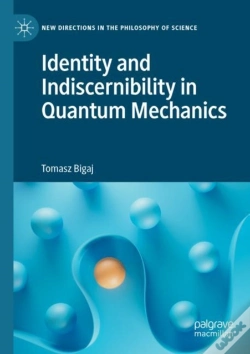 Capa do artigo Identity And Indiscernibility In Quantum Mechanics