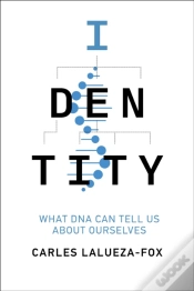 Capa do artigo Identity