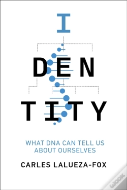 Capa do artigo Identity