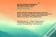 Identity Development During Stem Integration For Underrepresented Minority Students