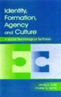 Identity, Formation, Agency, And Culture - Preview
