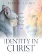 Identity In Christ: Seeing Yourself The - Preview