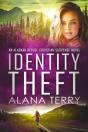 Identity Theft - Preview