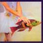 Idioglossia - CD - Preview
