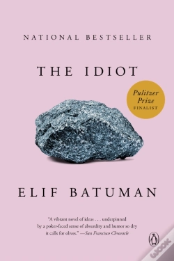 Capa do artigo Idiot