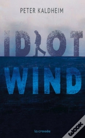 Capa do artigo Idiot Wind