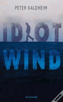 Capa do artigo Idiot Wind