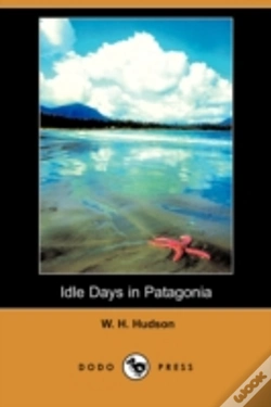 Capa do artigo Idle Days In Patagonia (Dodo Press)