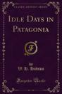 Idle Days In Patagonia - Preview