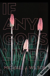 Capa do artigo If Any Gods Lived
