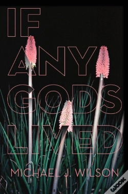 Capa do artigo If Any Gods Lived