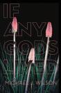 If Any Gods Lived - Preview