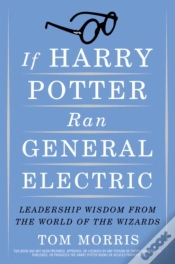 Capa do artigo If Harry Potter Ran General Electric