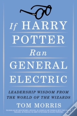 Capa do artigo If Harry Potter Ran General Electric