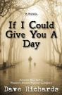 If I Could Give You A Day - Preview