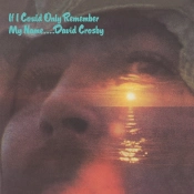 Capa do artigo If I Could Only Remember My Name... - CD
