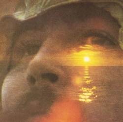 Capa do artigo If I Could Only Remember My Name... - CD