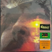 Capa do artigo If I Could Only Remember My Name - Vinil