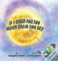 If I Could Pull The Moon From The Sky