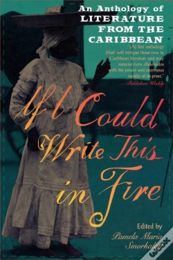 Capa do artigo If I Could Write This In Fire