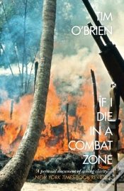 Capa do artigo If I Die In A Combat Zone