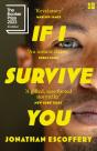 If I Survive You - Preview