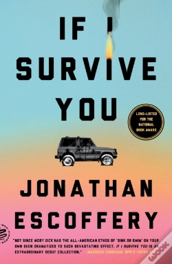 Capa do artigo If I Survive You