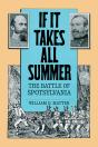 If It Takes All Summer - Preview