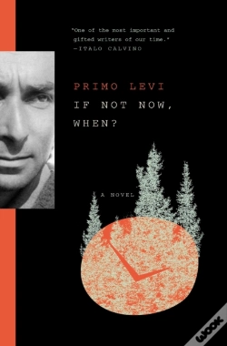 Capa do artigo If Not Now, When?