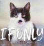 If Only - Preview