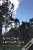 If We Should Ever Meet Again