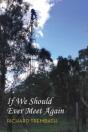 If We Should Ever Meet Again - Preview