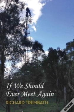 Capa do artigo If We Should Ever Meet Again