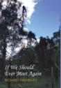 If We Should Ever Meet Again - Preview