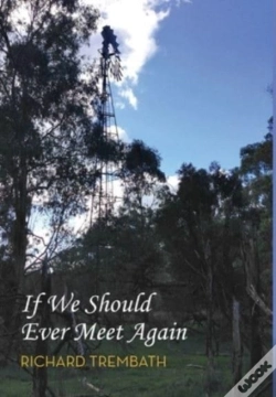Capa do artigo If We Should Ever Meet Again