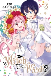 Capa do artigo If Witch, Then Which?, Vol. 3